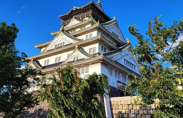 100% Personalized Private Osaka Tour with a Local Student Guide