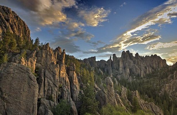 Custer State Park Wildlife Loop and Needles Highway Shared Tour