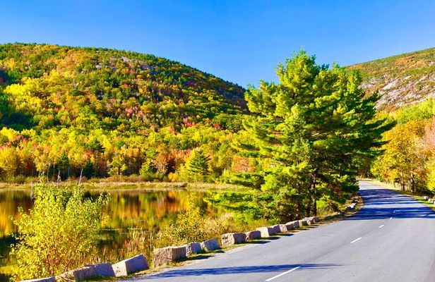 “Private Acadia” & Mount Desert Island Tour (full day, six hours)