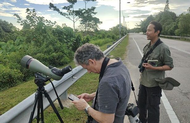 JungleWalla Full Day Penang Mainland Birdwatching