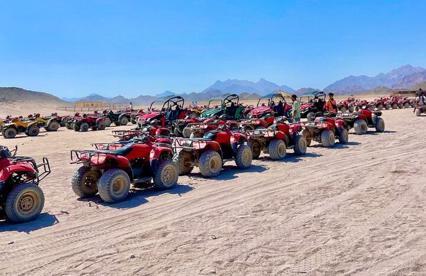 Hurghada Super Safari ATV, Buggy, Camel Ride, Dinner and Show