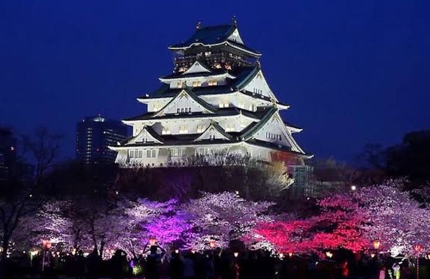 Private Local Food Tour with a Japanese Food Influencer