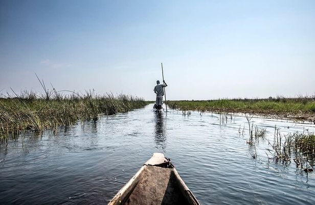 2 Day, 1 Night Khwai Camping Safari