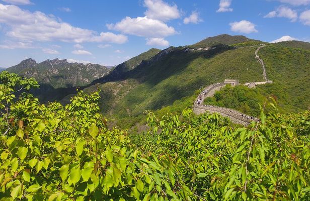Daxing Airport Pick-up or Drop-off+Mutianyu Great Wall Tour
