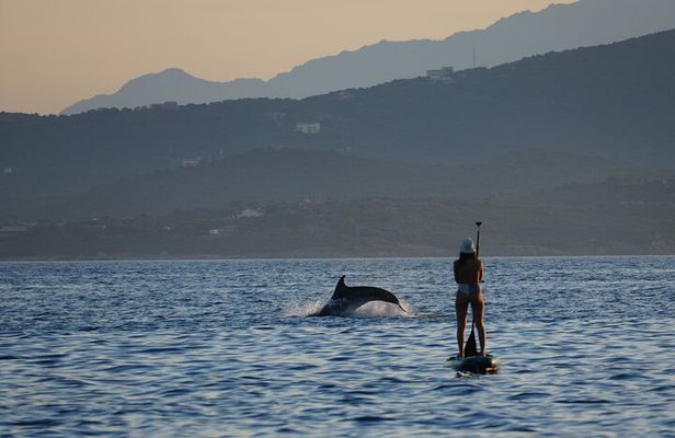 Stand Up Paddle With Dolphins, aperitif and pictures