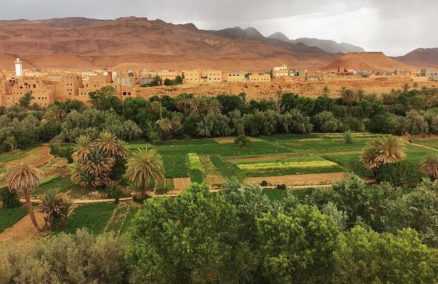 4-Day Sahara & Palm Oasis Adventure: Marrakech to Merzouga