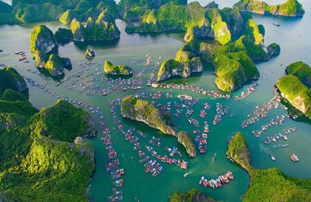 Lan Ha Bay Day Tour from Hanoi – All-Inclusive Cruise Experience