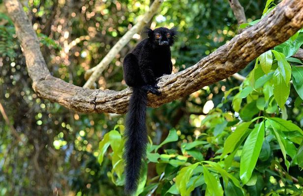 Nosy Be: Exclusive 3 day Tour of top attractions