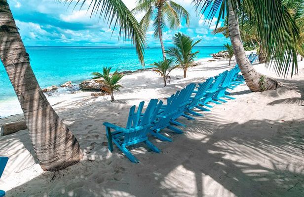 Punta Cana Saona Island Half Day Eco Tour in Small Group