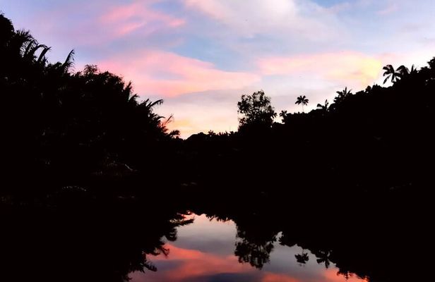 Johor Desaru Coast Firefly Afterdark River Cruise