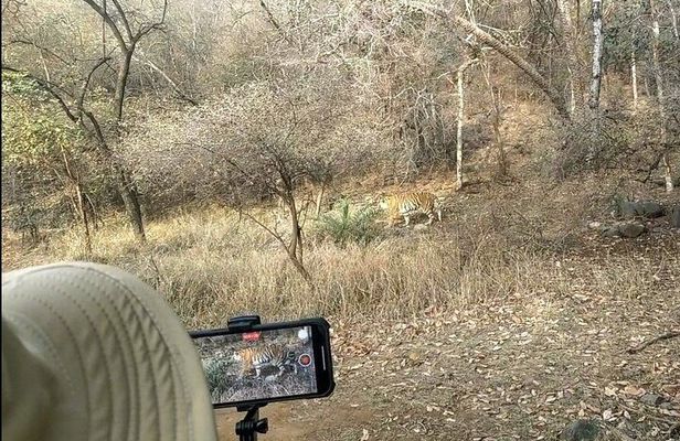 Ranthambore Tiger Safari In Canter 20 Seater All Inclusive visits