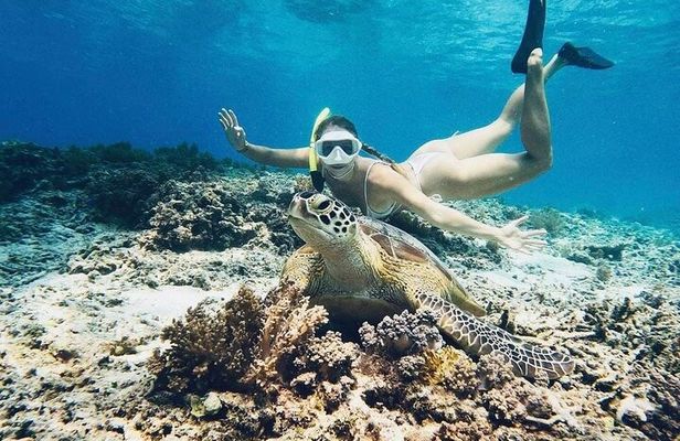 Private Snorkeling Start Gili Meno and Explore 4 Spots with GoPro