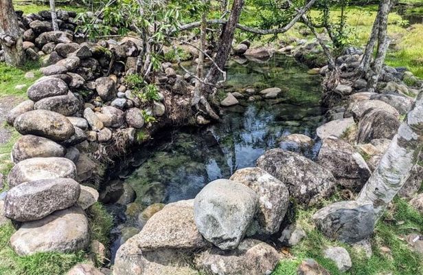 Best of Boquete: Hot springs, Waterfall and Chiriqui river Tour