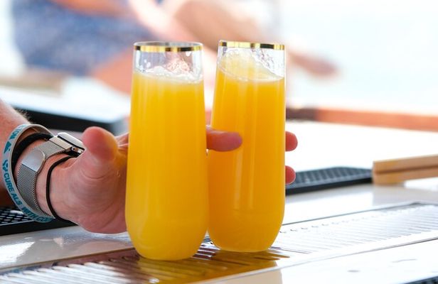 Sunday Mimosa Bar Catamaran Sail with Mini Brunch Bites