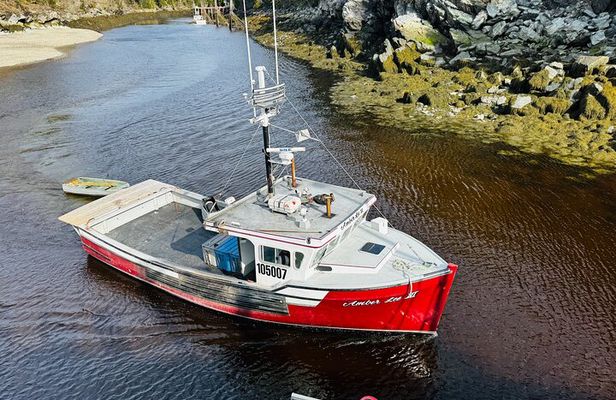 Bay of Fundy Tour by Van