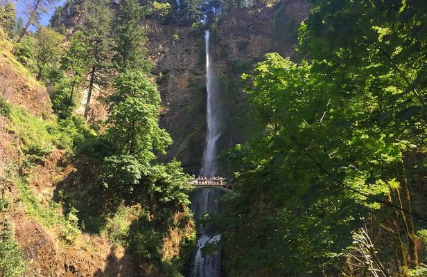 Private Multnomah Falls and Mt. Hood Tour with Gorge Waterfalls