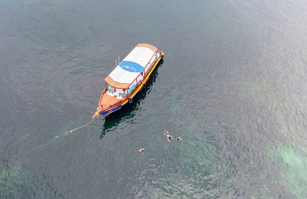 Koh Tao's First Light Snorkel Adventure with Oxygen Tours