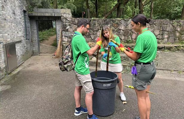 Chengdu: Volunteer Day Experience at Dujiangyan Panda base