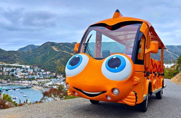 Private Guided City Tour up to 12 Passengers