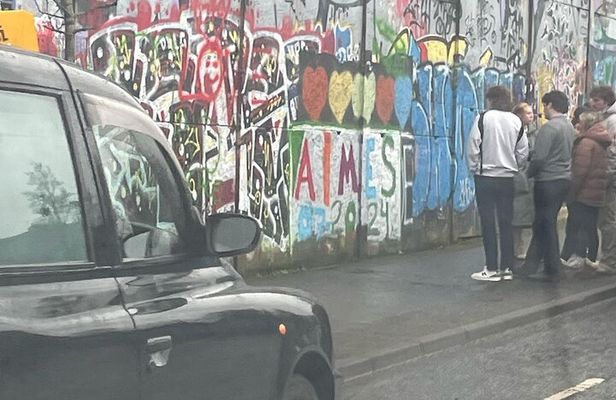 Belfast black taxi tour