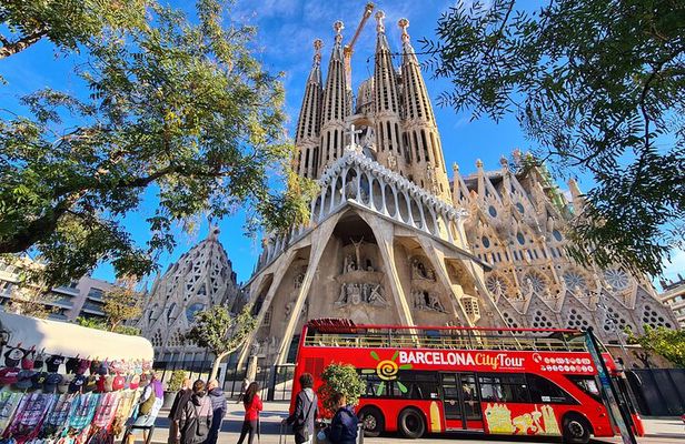 Barcelona Hop-On Hop-Off Bus & Coastal Catamaran Cruise