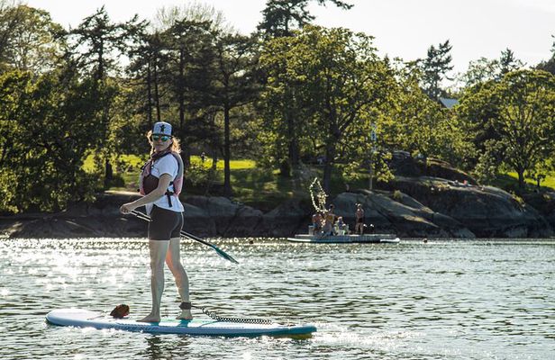 Victoria Harbour Stand-Up Paddleboard Tour
