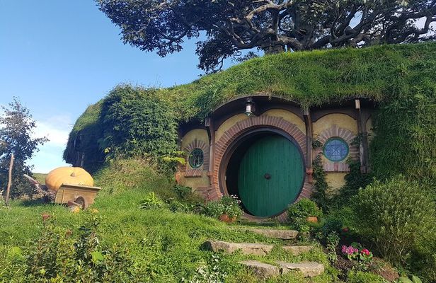Hobbiton and Waitomo Caves from Rotorua - Smaller Group