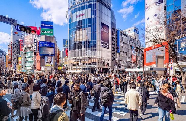 Tokyo Private Sightseeing Tour W/English Speaking Driver