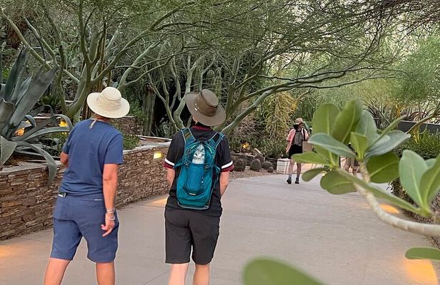 Private Sunset Walking Tour -Sonoran Desert Botanical Gardens 2h