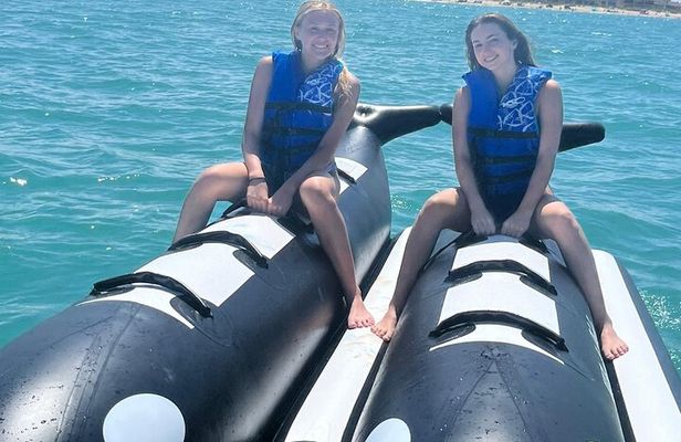 Orca Whale Inflatable Rides