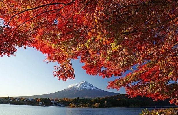 Tokyo: Mount Fuji One Day Trip Lake Kawaguchi & Lake Yamanaka