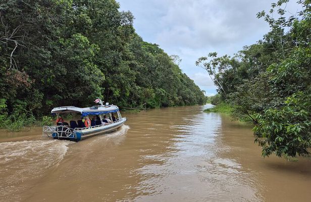Full Day Tour Anavilhanas Archipelago and Ariau River