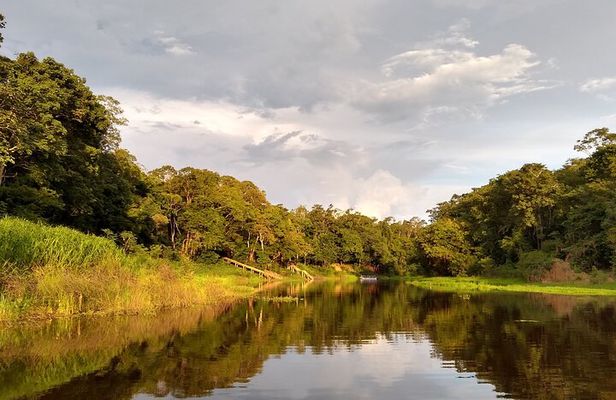Jungle Walk, Fishing, Lunch and Canoe Trip in the Heart of Amazon
