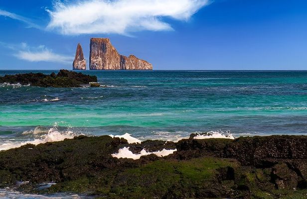 San Cristobal Snorkel360° from Cristobal (From Cristobal)
