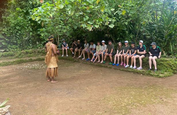 Efate Highlights: Village Walk, Coffee Tasting & Beach Chill