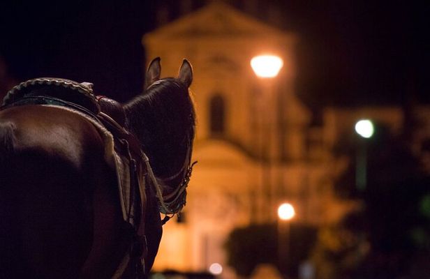 Palermo's Dark Shades: Ghost, Crime and Tasting Walking Tour