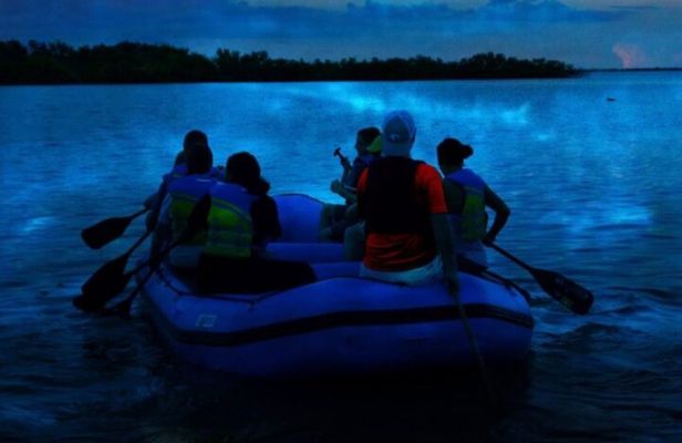 Bioluminescence Rafting Boat Tour Wildlife Refuge