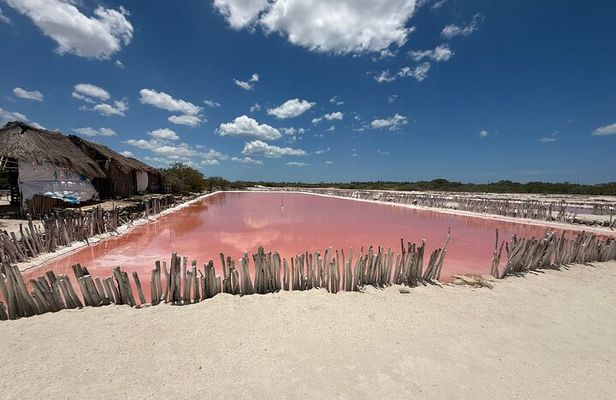 Pink Lagoon, Flamingos, Cenote, and Beach Escape from Merida