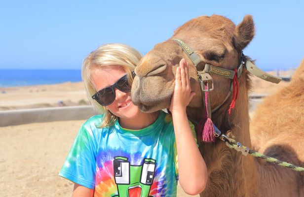 Beach UTV Adventure with Free Camel & Horseback Ride