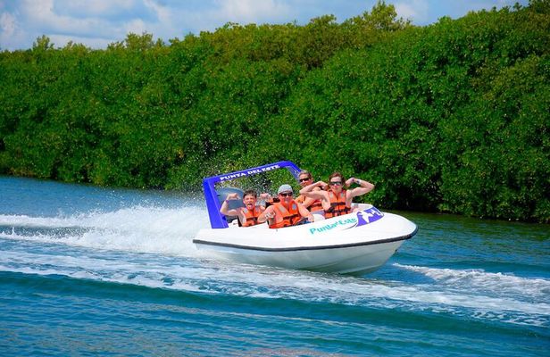 Speed of the Mayan Jungle