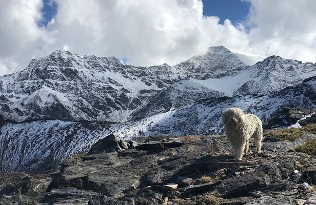 High Sierra Nevada hike ( snowshoeing in winter conditions)