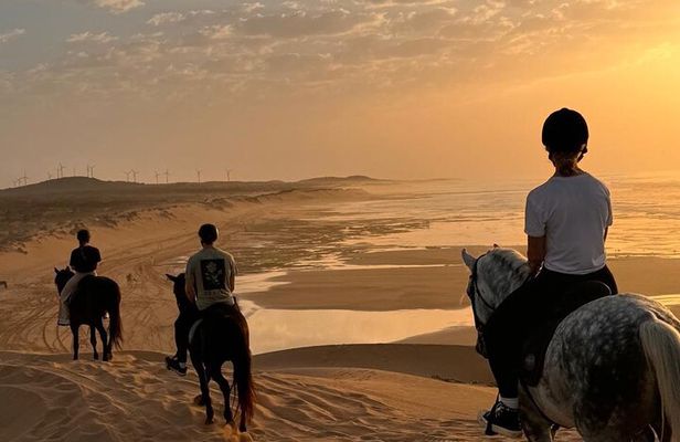 Essaouira Dar Sultan Palace Horseback Tour Experience
