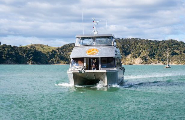 Raglan Scenic Nature Boat Cruise