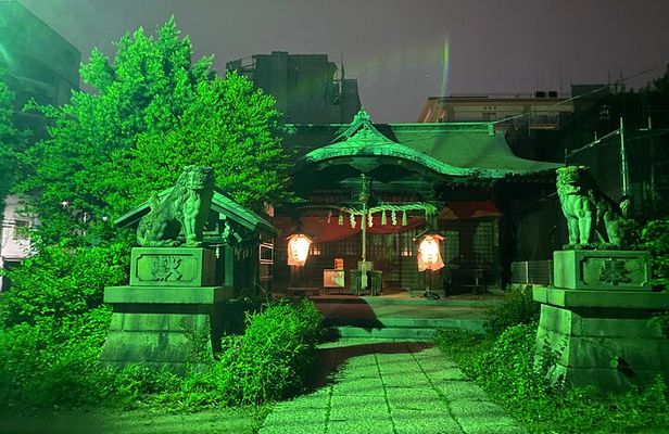 Tokyo Retro Night Tour with Sento Bath and Locul Food