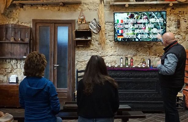 Cagliari Olive Oil Museum: Tours & Tasting a Dolianova