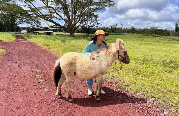 Ranch Tour & Animal Encounters