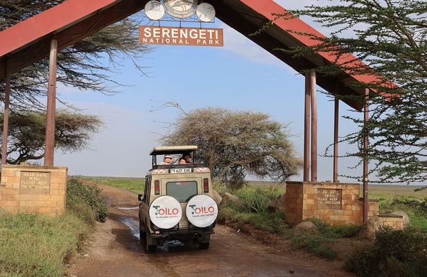 3 Day Group Camping Tour to Serengeti Ngorongoro