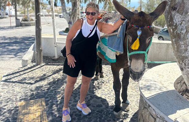 *AVOID CABLECAR*Santorini's PrivateLuxuryTours-6Hours-Local Guide