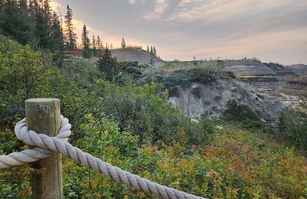 1 Day of Drumheller Dinosaurs and Badlands in Small Group Tour