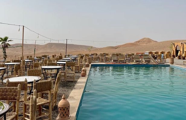 Agafay Day: Quad, Dromedary, Swimming pool, Moroccan Dinner & Show